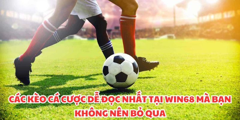 Tỷ Lệ Kèo WIN68 - Cược Lên Tới 95%, Lợi Nhuận Vượt Trội! Các kèo cá cược dễ đọc nhất tại WIN68 mà bạn không nên bỏ qua
